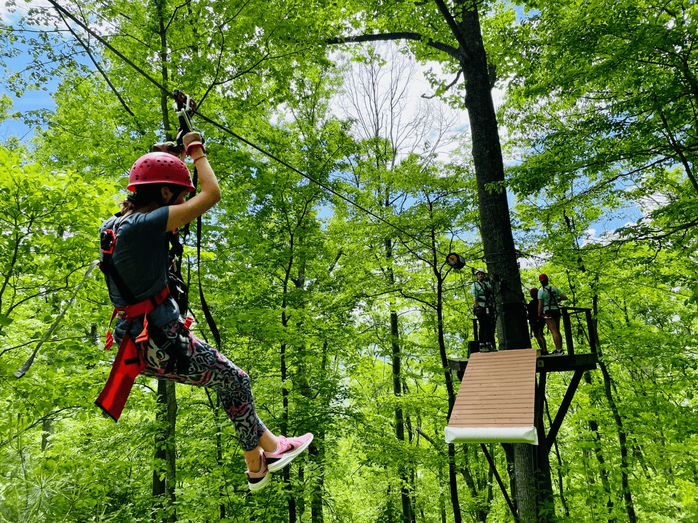 Zip Line